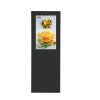 Interactive Outdoor Kiosks