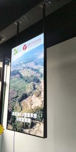 Sunlight Readable Displays